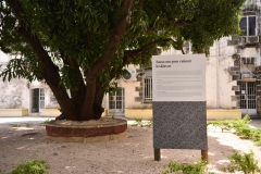 DSC3376
